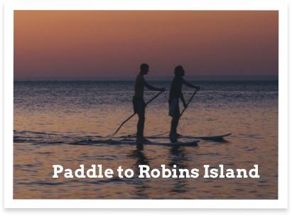 paddle1.png