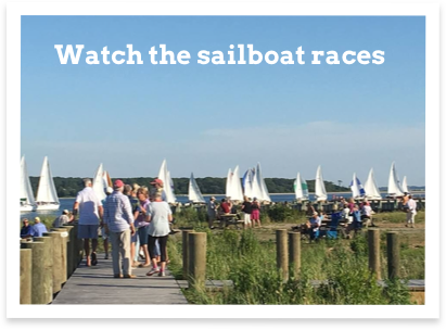 sailboatraces1.png