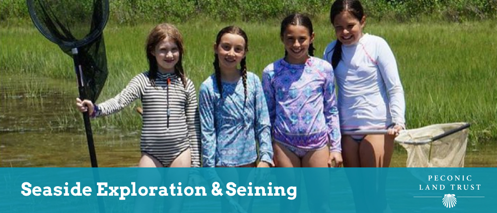 Seaside Exploration and Seining