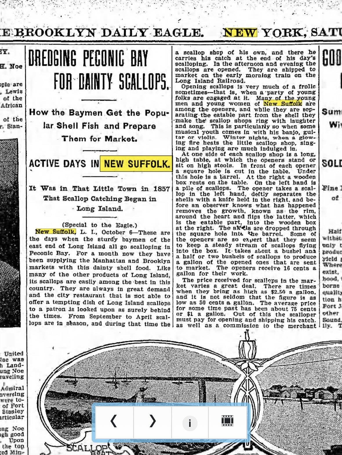 The 2025 Scallop Season Opens Tomorrow&hellip;but did you know that NEW SUFFOLK was the VERY FIRST PLACE on Long Island to harvest these delicious bivalves in 1857!!!???
Yep! It&rsquo;s TRUE!!!!
Read all about it in the Brooklyn Eagle, October 6, 190
