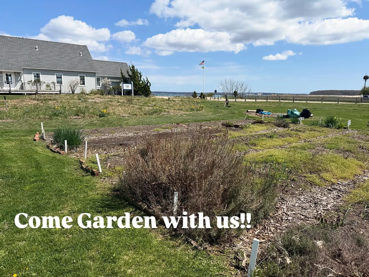Our community garden is situated right in the heart of New Suffolk. We still have four plots available for the season. Plots are 3&rsquo;x15&rsquo; with easy access to water. For more information, send an email to&hellip;.
nswfevents@gmail.com