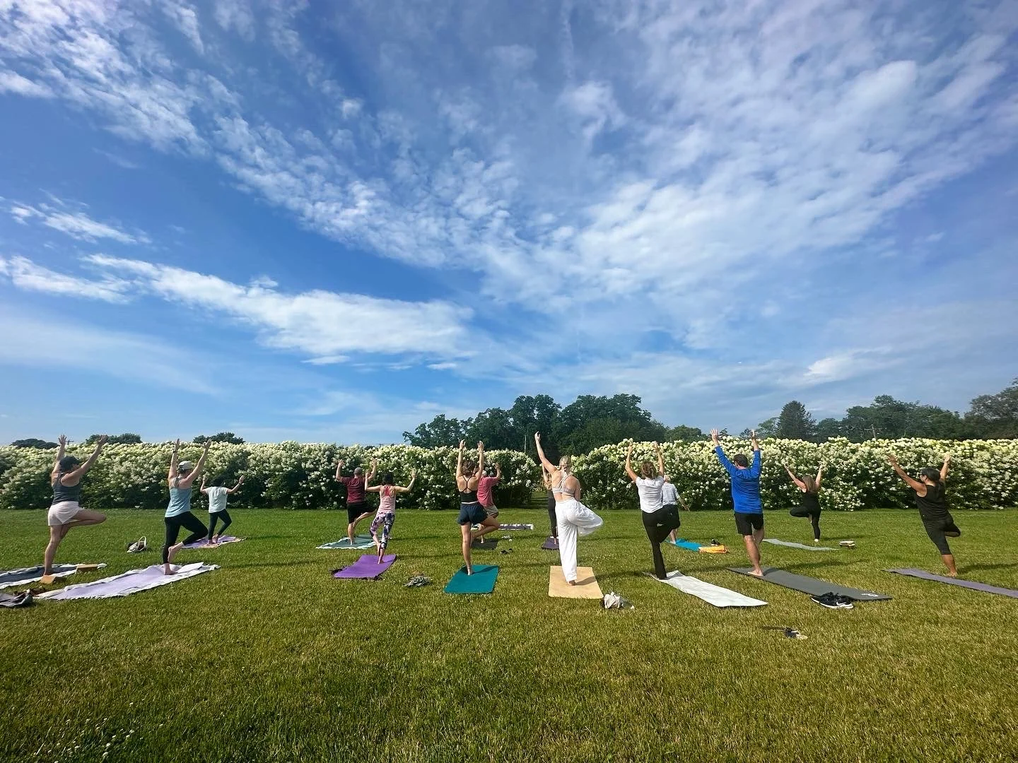 All - Levels Yoga on the Lawn