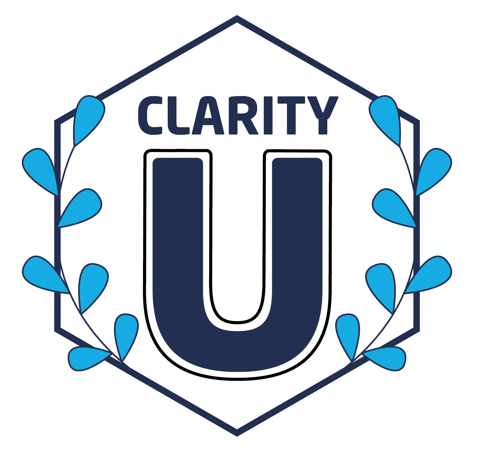 Clarity U 001 Large.png