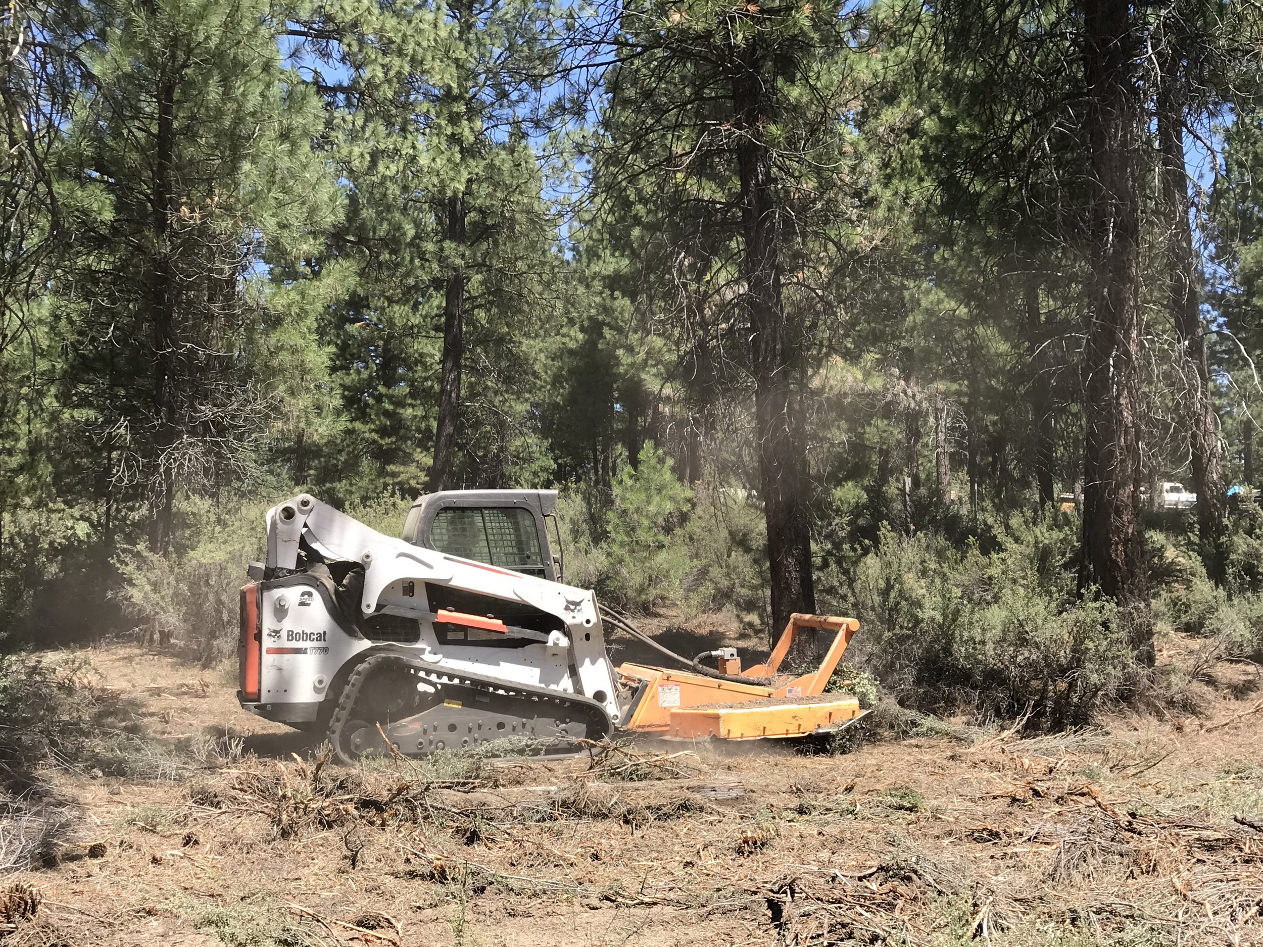 Keno Fire Chief John Ketchum uses their district Bobcat with a mower attachment to remove dense and decadent brush material and smaller diameter trees.