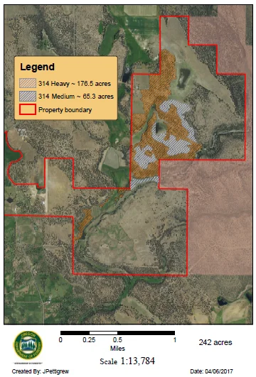 Sample stand density map (click to enlarge)