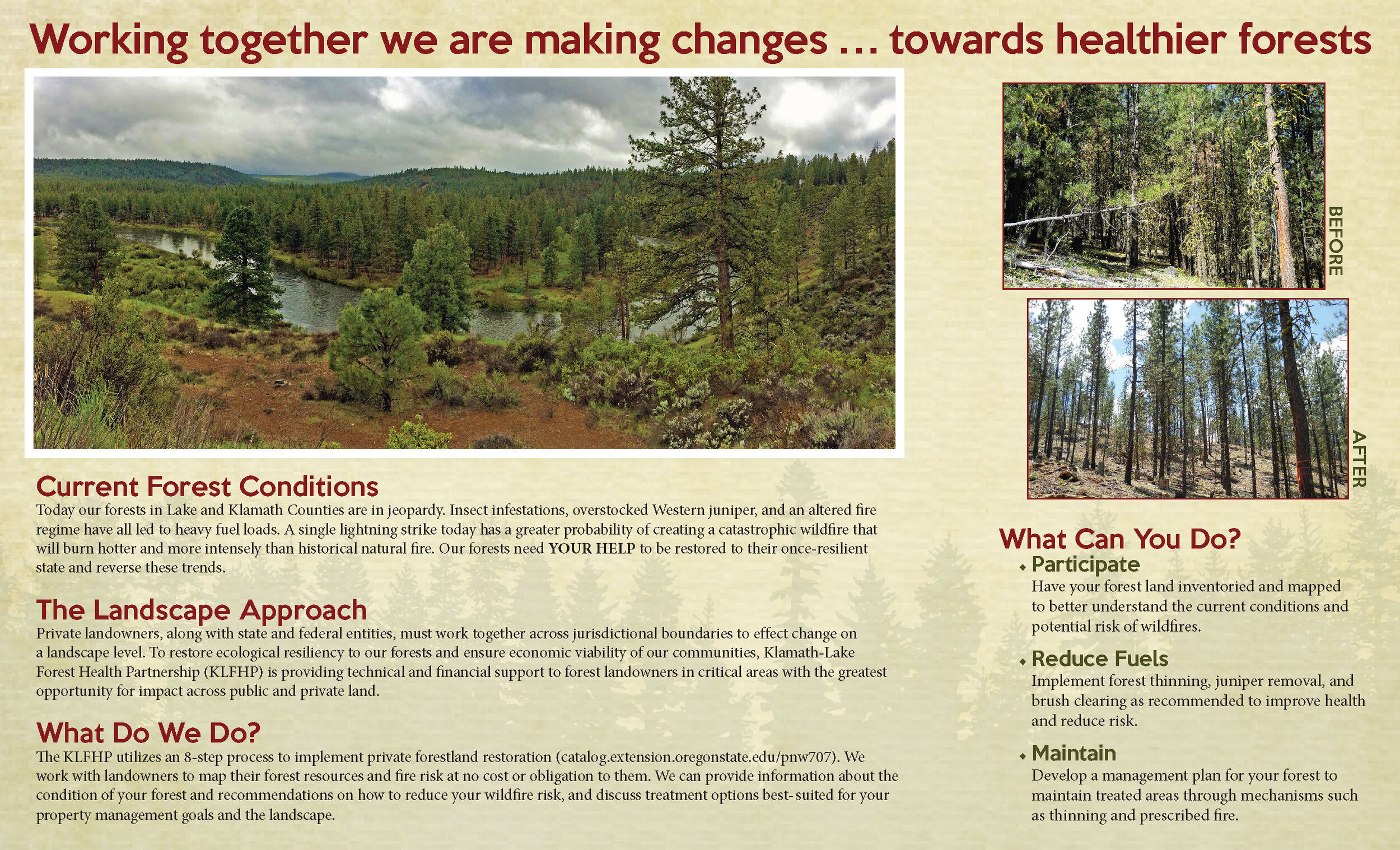 2020 Resilient Forests final brochure_Page_1.jpg
