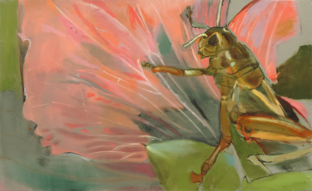 Grasshopper on Hollyhock oil on canvas, 29x48 inches