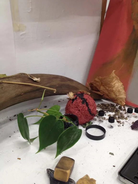 A prophetic pothos… studio shot, pothos plant, various organic bits