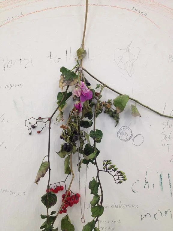 Remembered to make a bundle… studio shot, organic bits including sweet-pea and nightshade, size variable