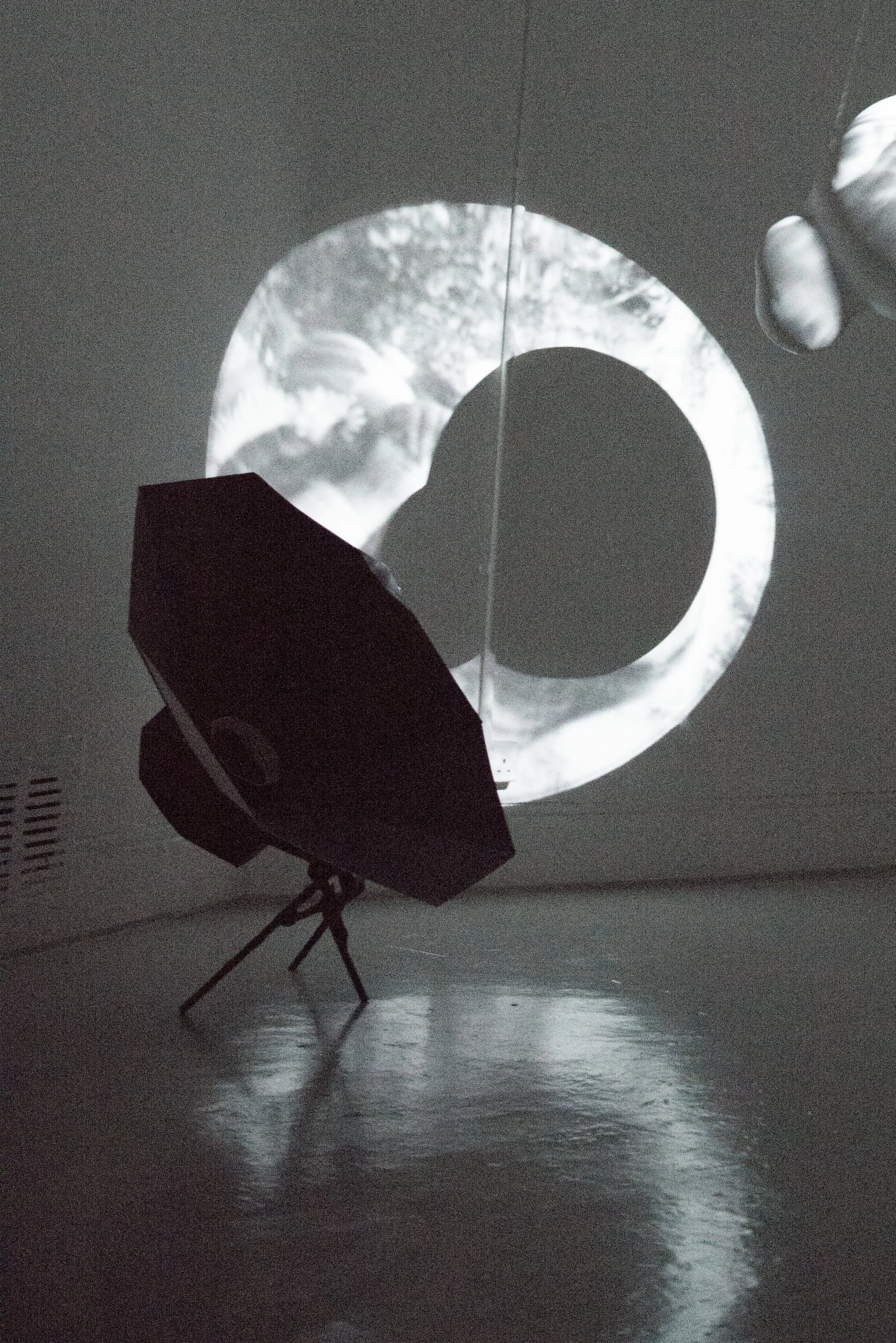 My Viewing Apparatus (1)