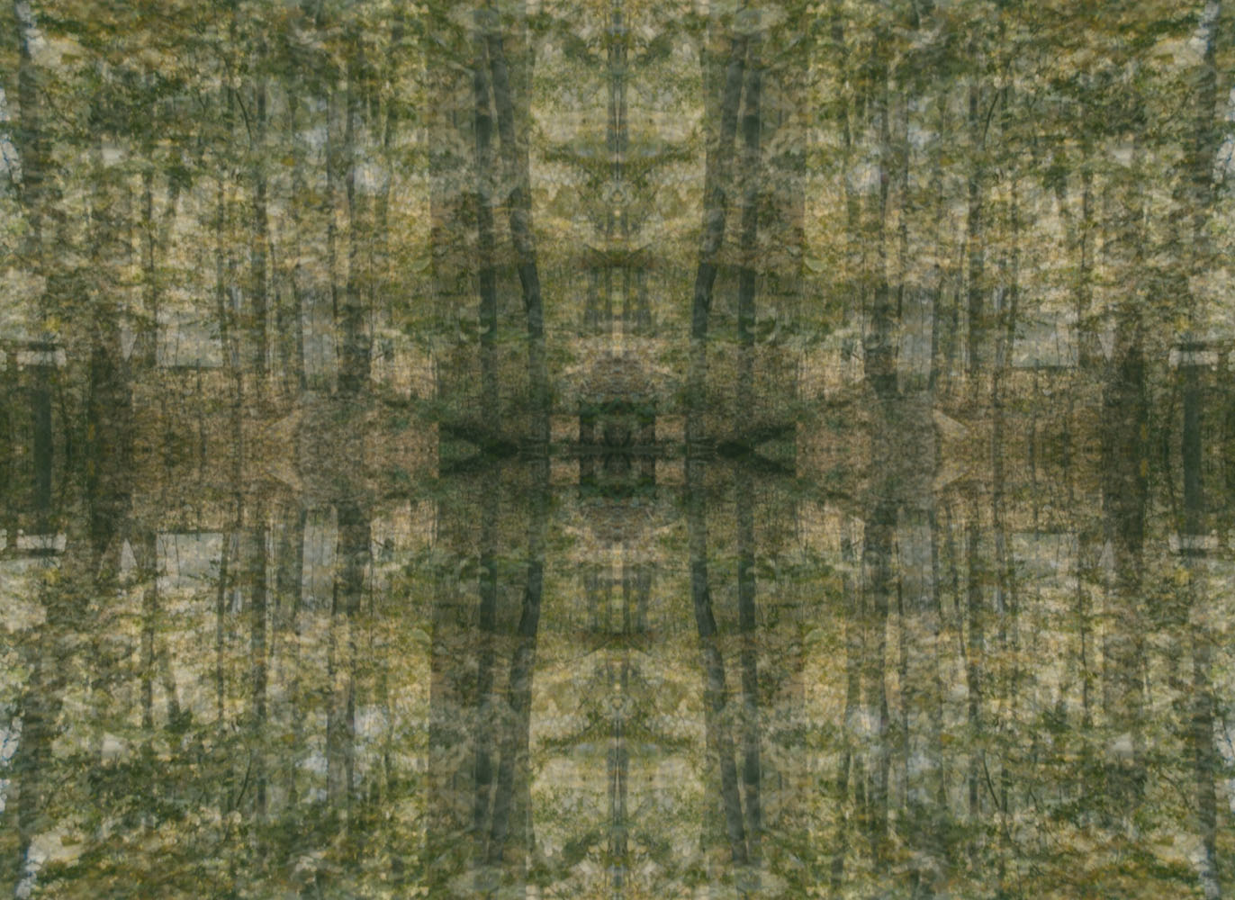 forest kaleidoscope copy.jpg