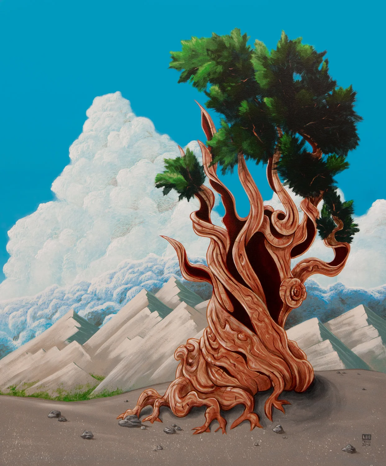 Bristlecone Pine