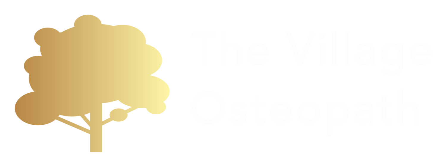 The Village Osteopath