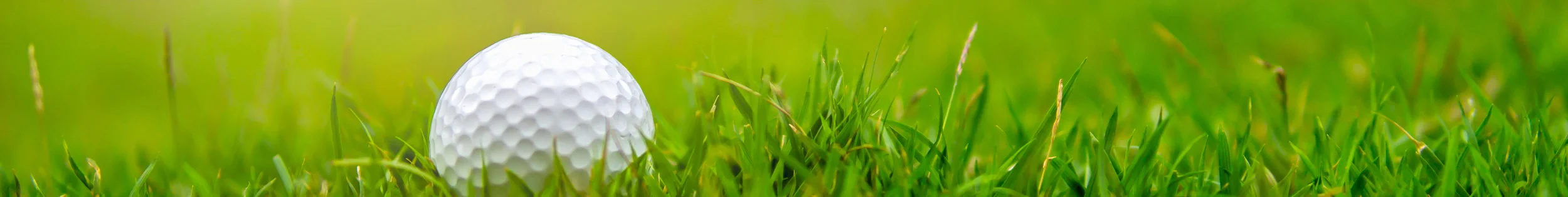 Golf ball in a rough patch of grass at the Credit Unions for Kids Golf Tournament