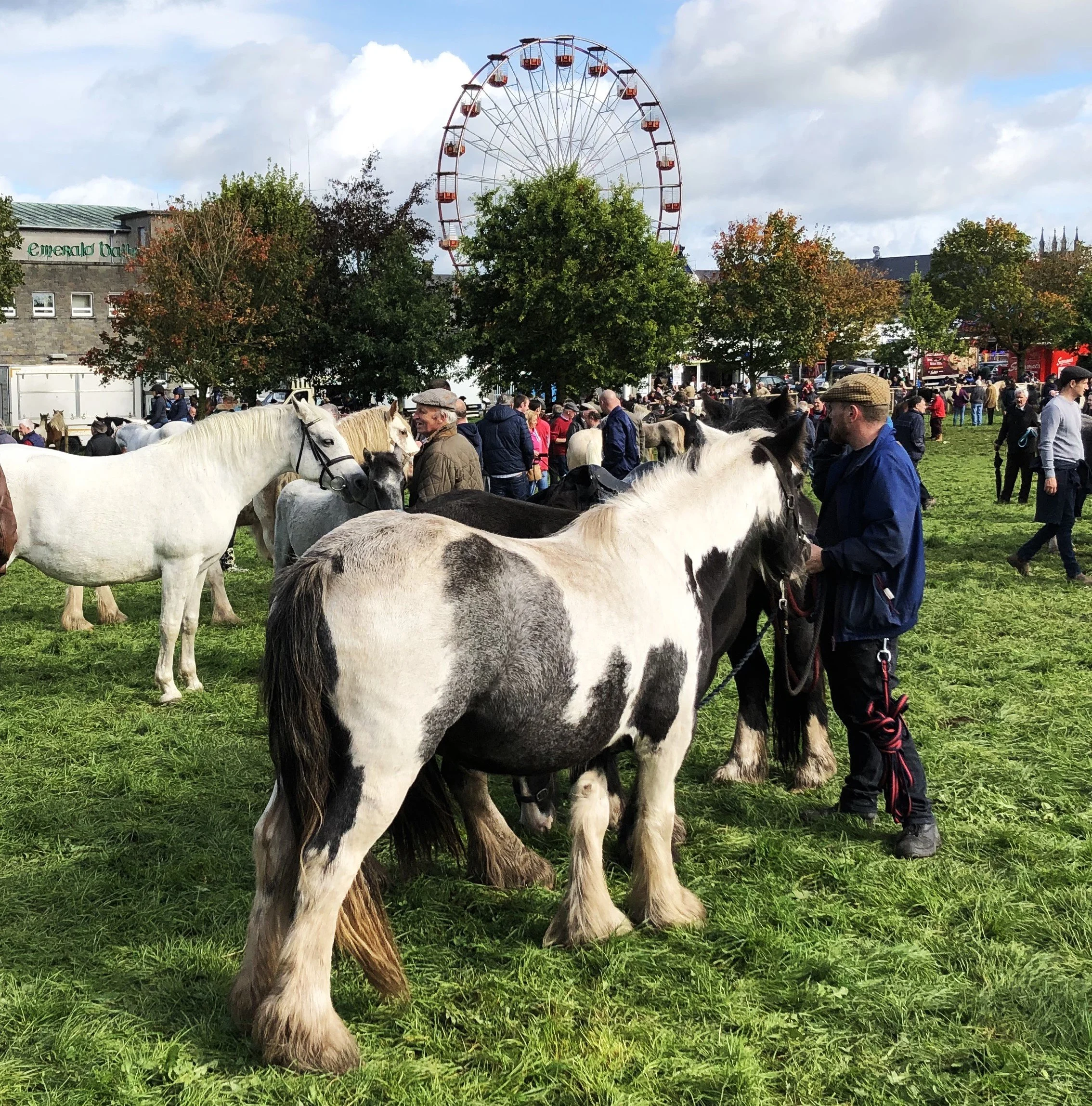 Hooves and Handshakes: the Ballinasloe Horse Fair [Ballinasloe, Ireland]