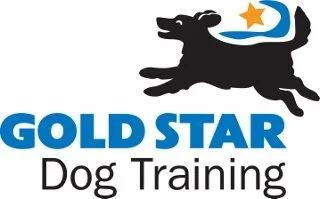 Gold Star Dog Training