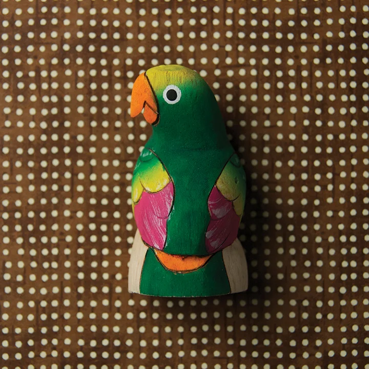 Parrot, Costa Rica