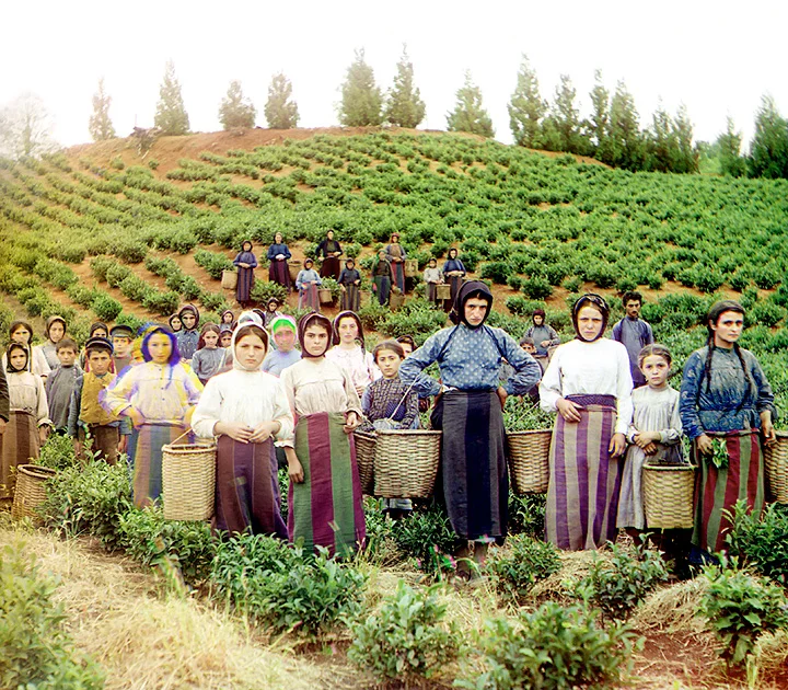 Russia in Colour, 1900s