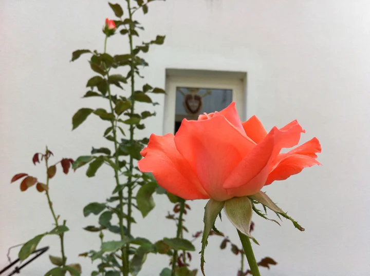 Fruška Gora, Serbia