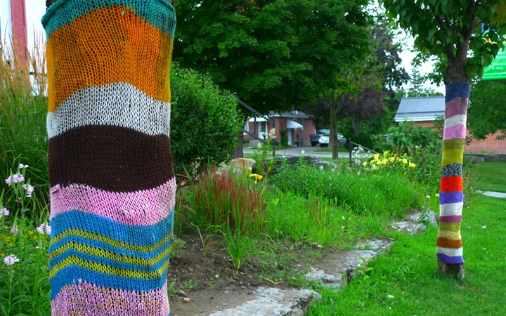 Yarn Bombing Colborne