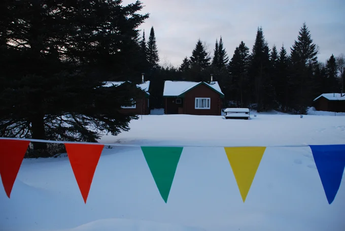 Dog Sledding in Algonquin