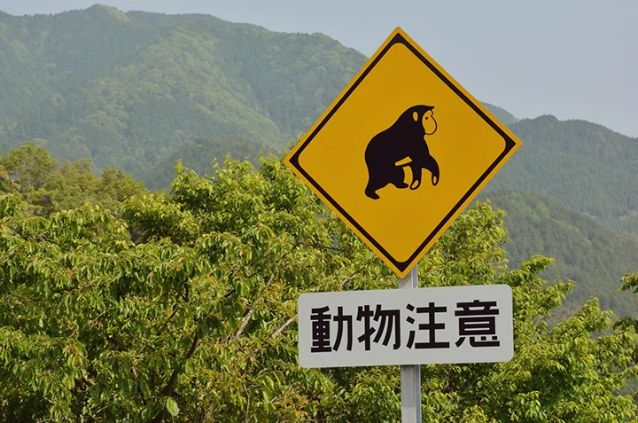 Northern Alps, Japan
