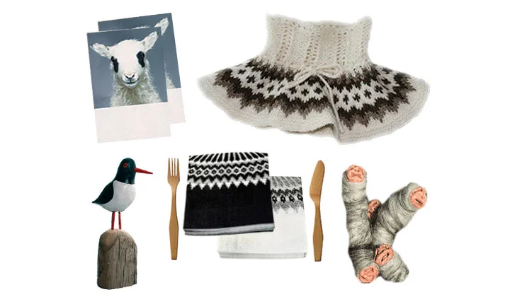 Sheep, birds & other Icelandic creatures