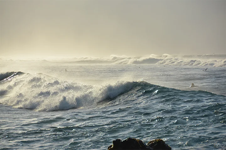 The Return to Hawaii