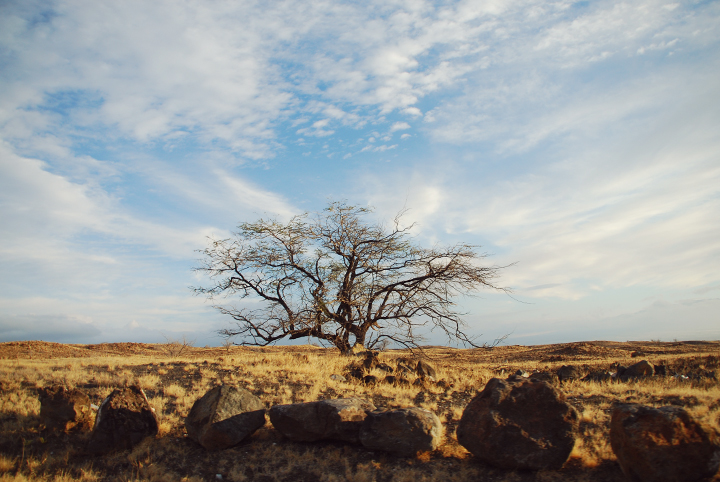 Kohala Coast, Hawaii