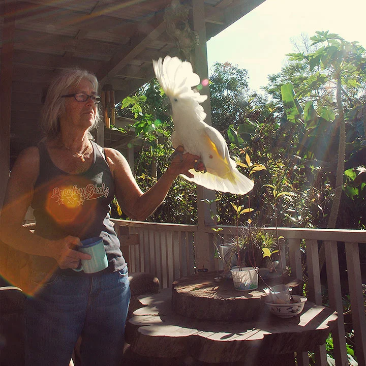 Linda's Place: Keaau, Hawaii