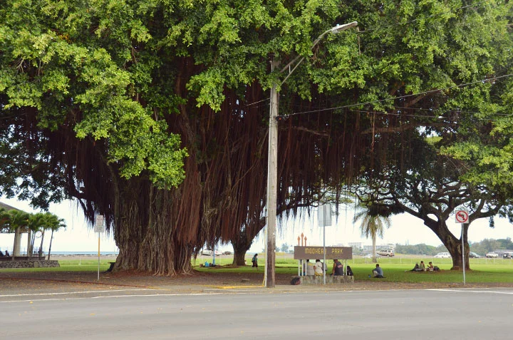 Hilo, Hawaii
