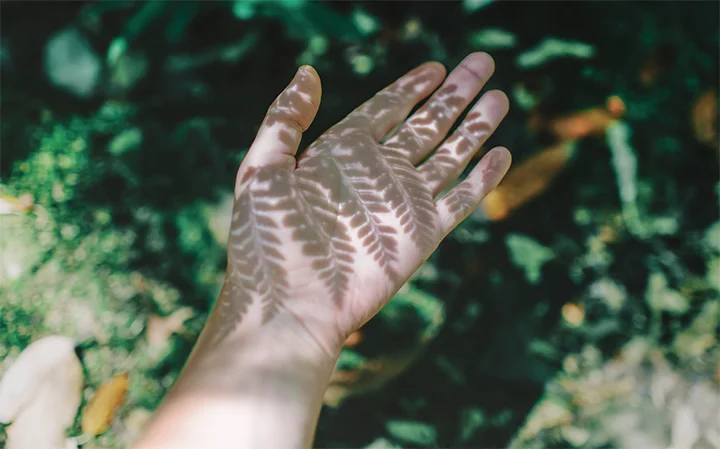 Learning to be a Sustanaible Traveler