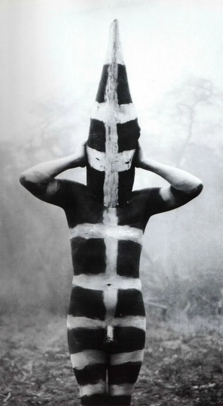 The Last of the Selk'nam