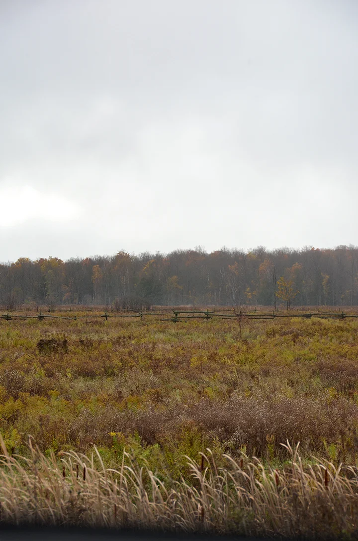 Grey County