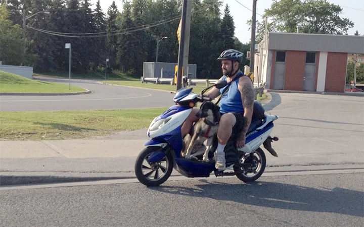On the way to Kingston, Ontario