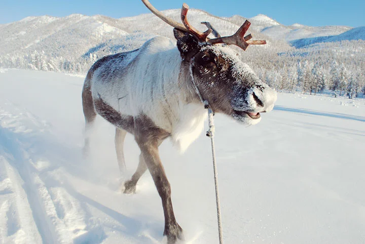 yakutia10.jpg
