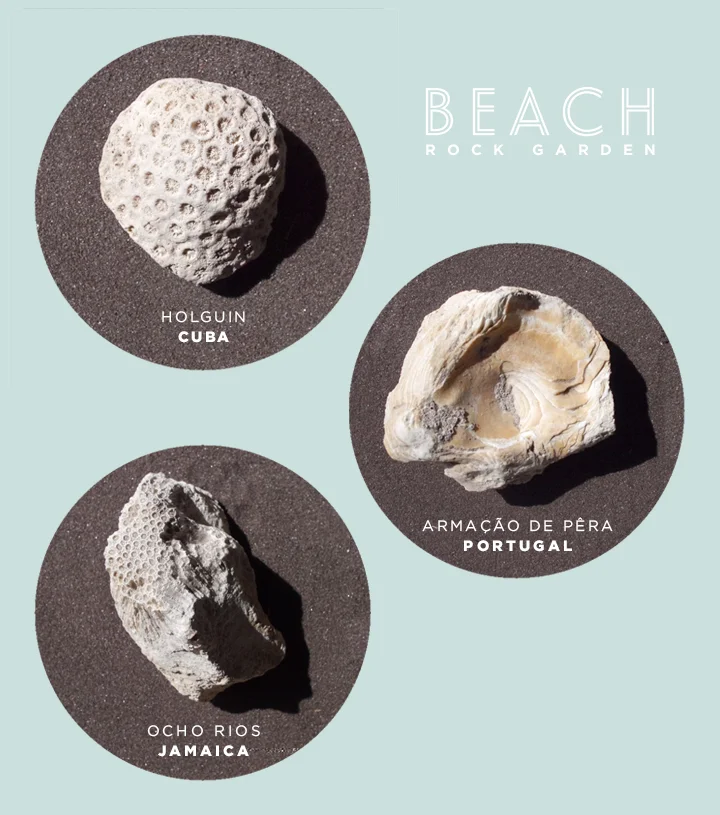 beach.jpg