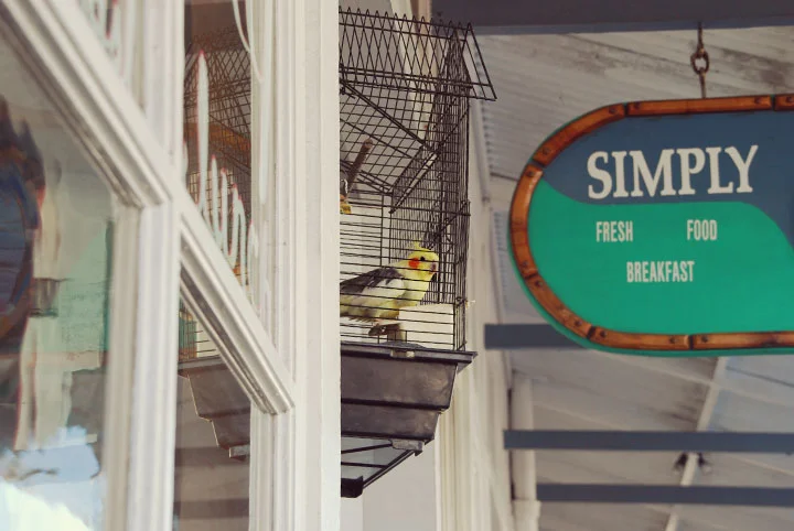 Simply Natural's mascot