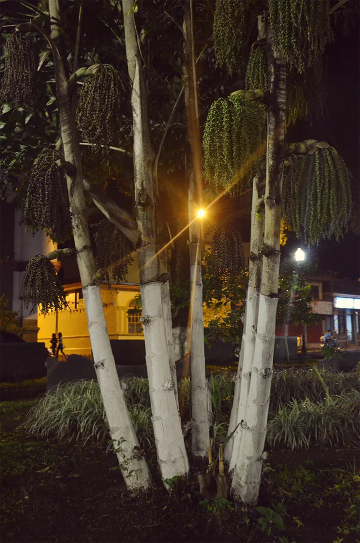 alajuela12.jpg