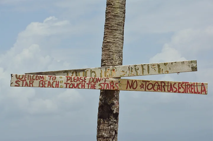 Starfish Beach