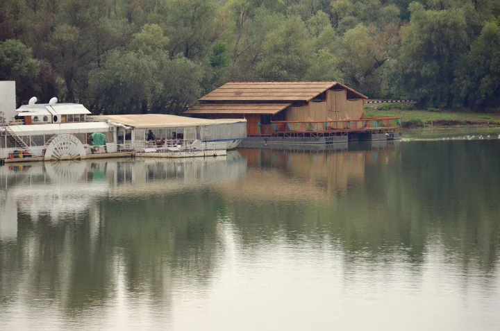 sava-.jpg