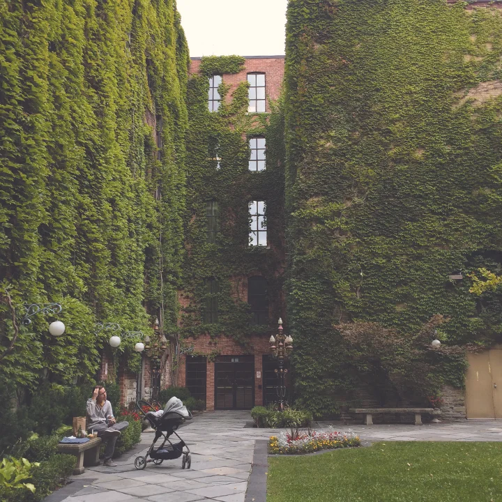 courtyard.jpg
