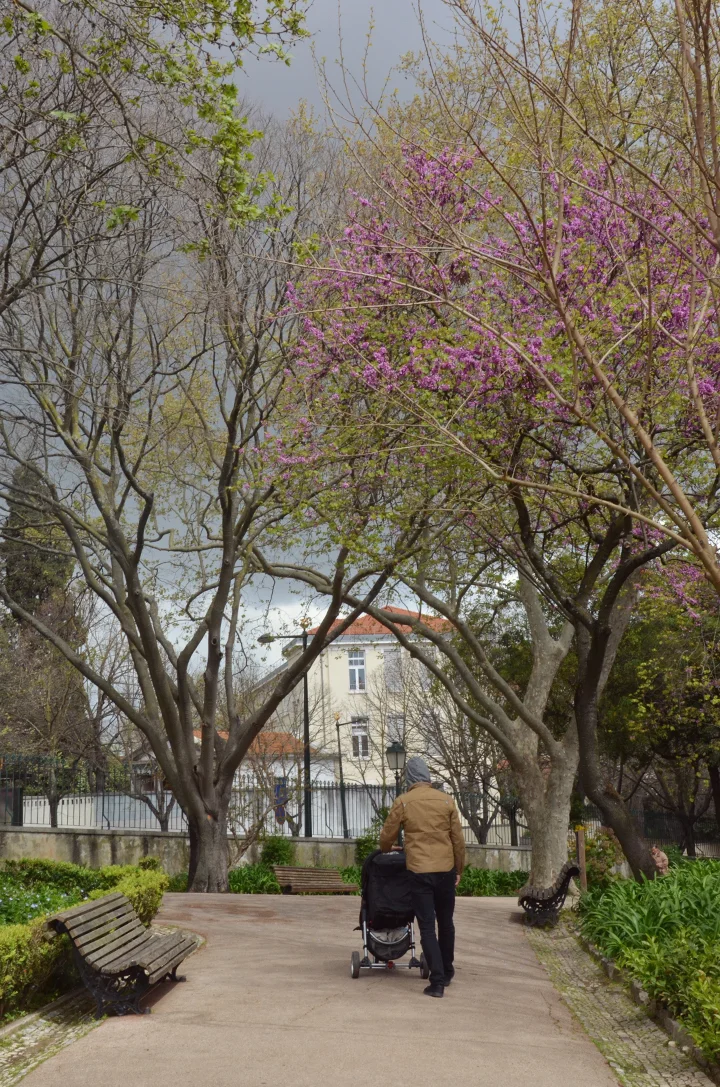 Jardim Estrela