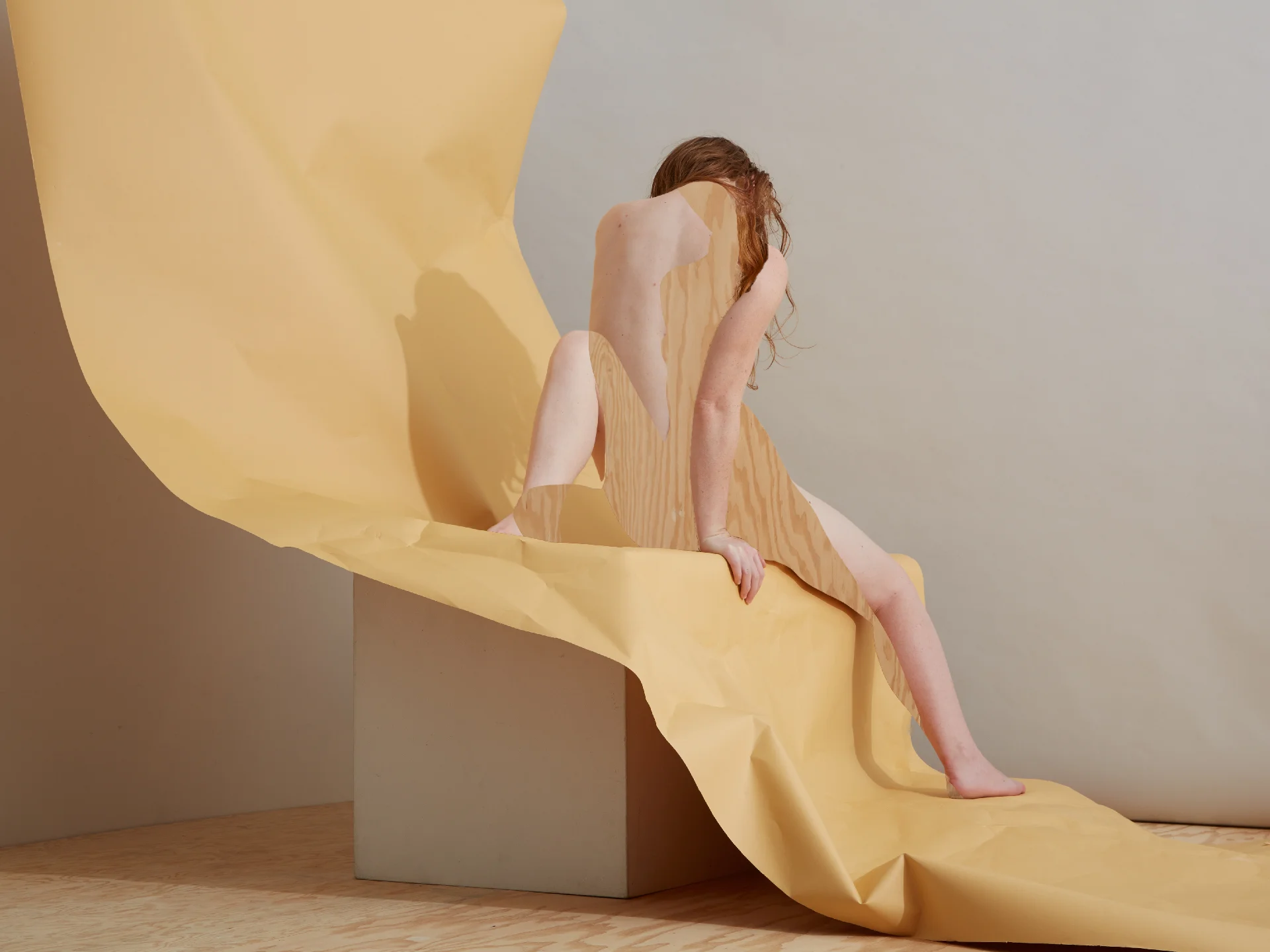 Liv Back to Front, Autumn and Plywood 2016