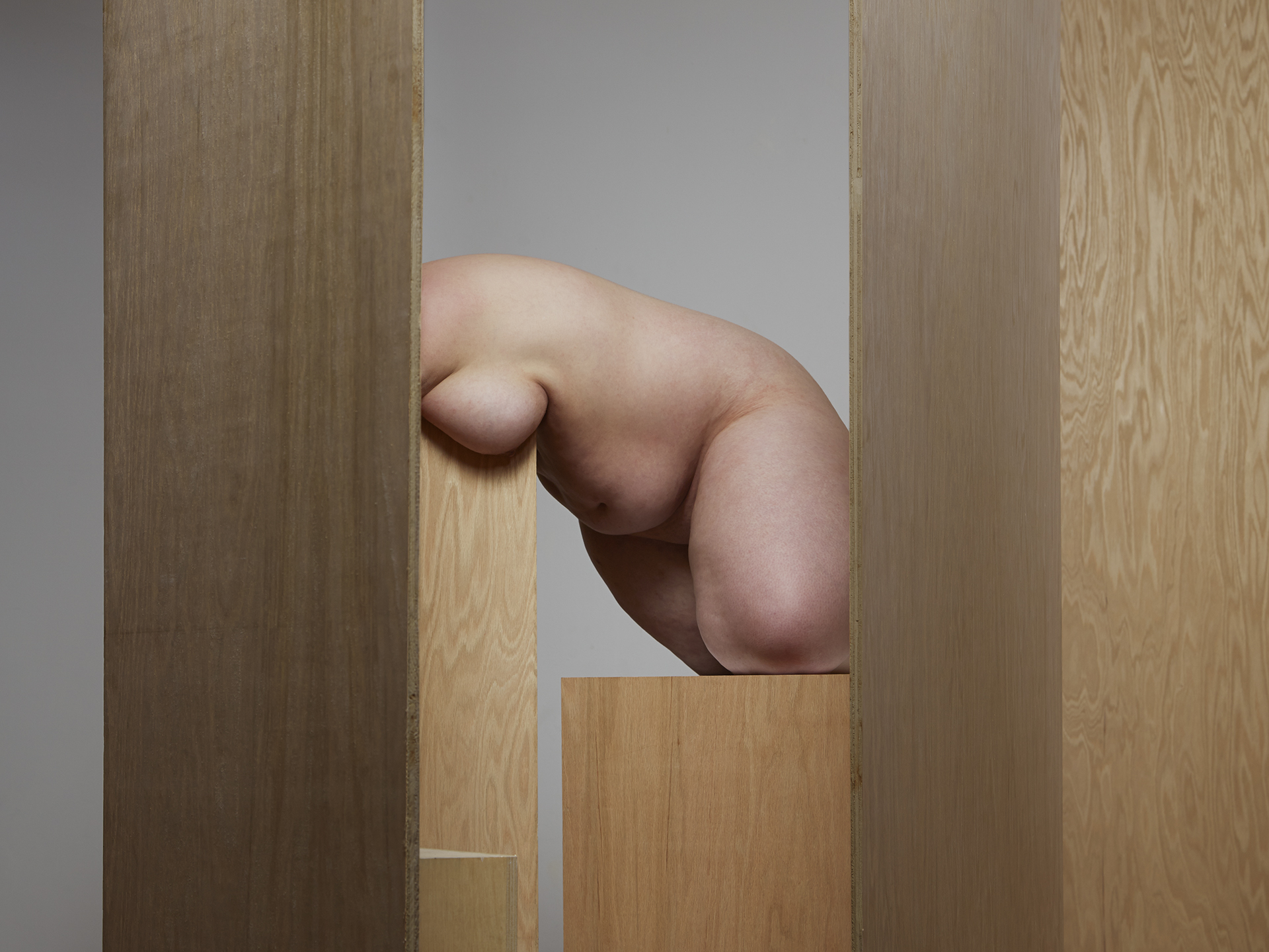Segmented Body with Various Plywood  2014