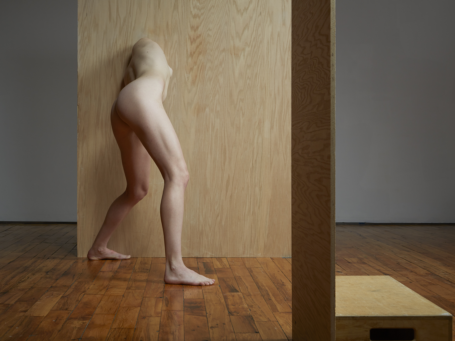 Segmented Body with Plywood and Apple Box  2014