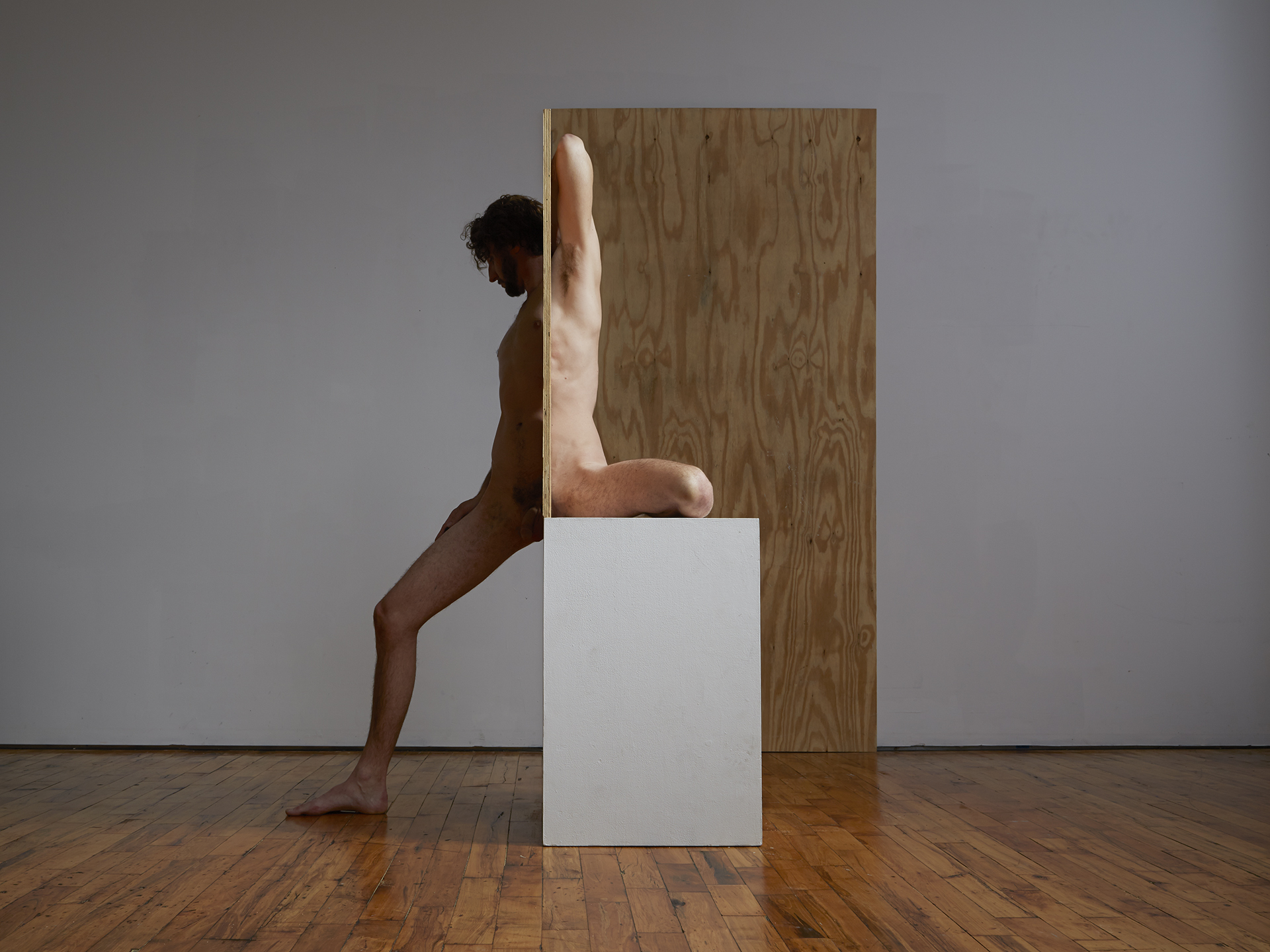 Segmented Body with Plywood and Pedestal (Self Portrait)  2014