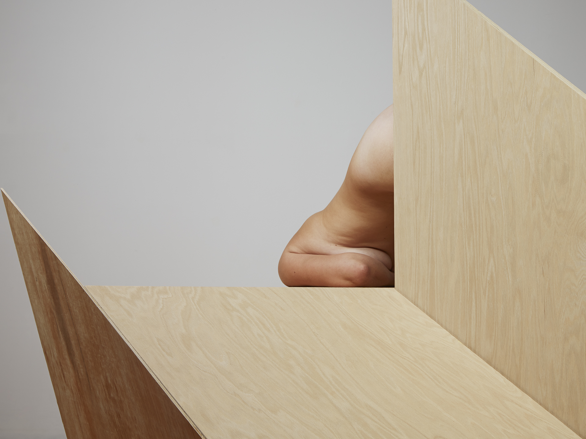 Segmented Body with Plywood Angles  2014