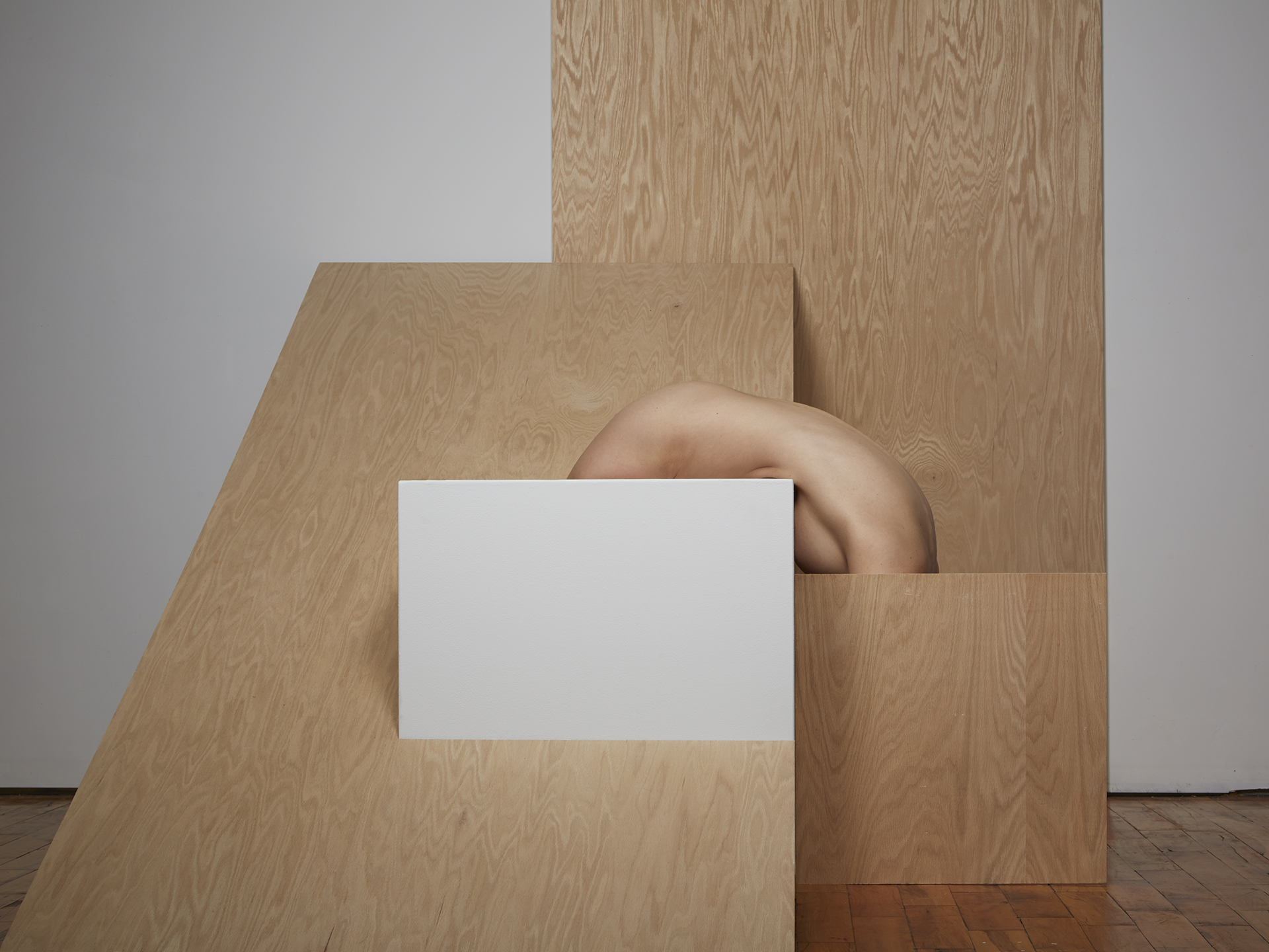 Segmented Body with Plywood and Pedestal  2014
