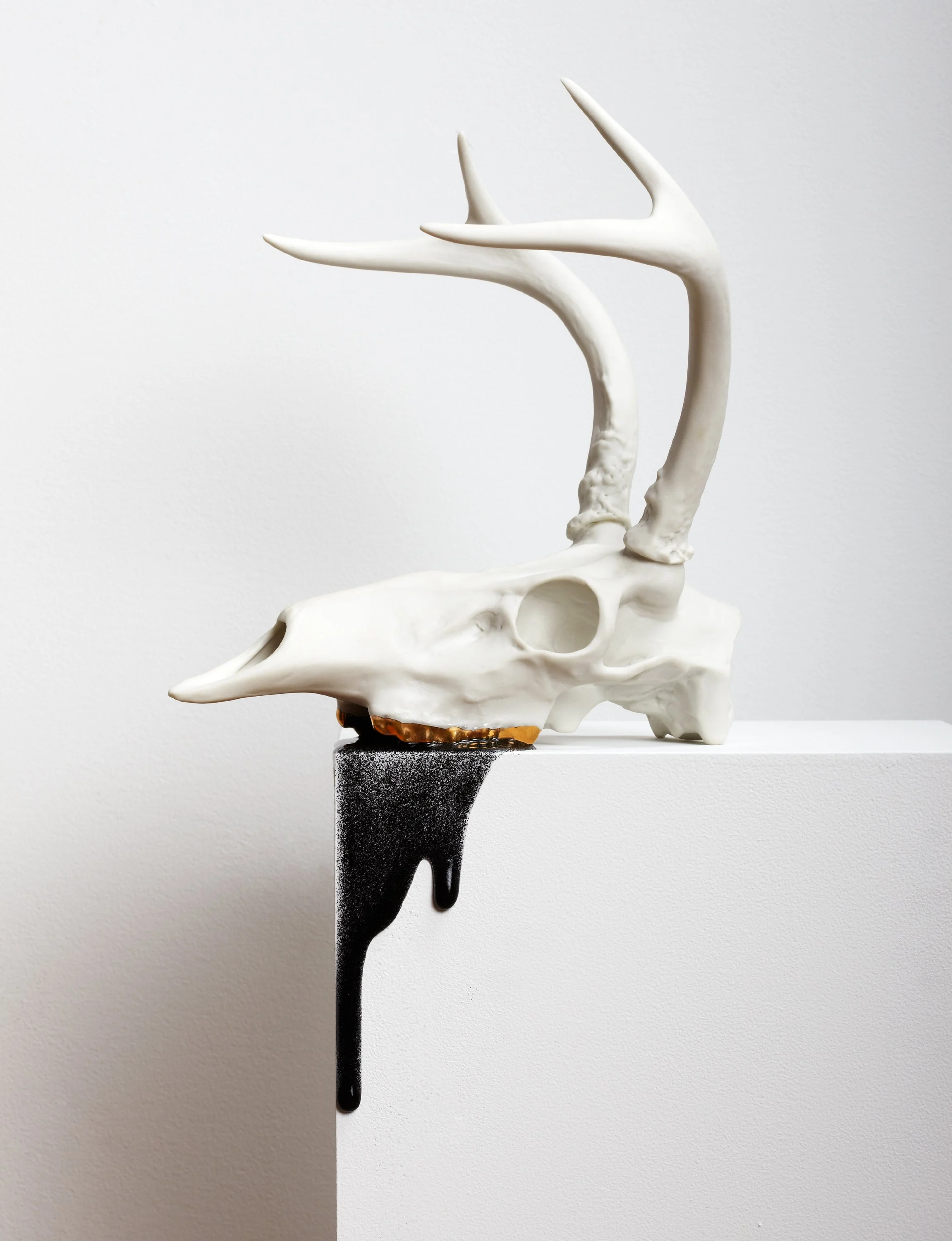 Bill_Durgin-03.jpg